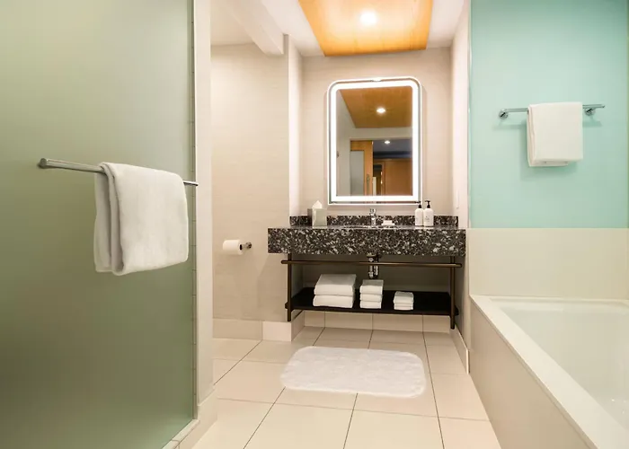 Radisson Blu Mall Of America Hotel 4*