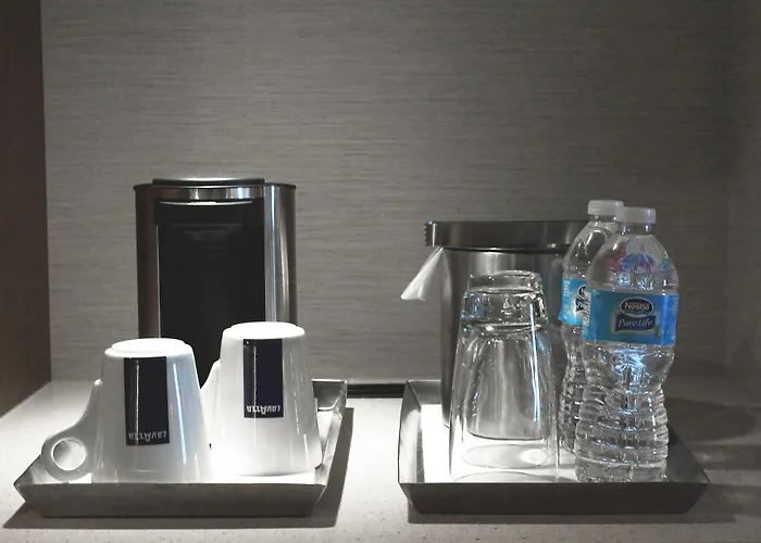 Hotel Radisson Blu Mall Of America 4*